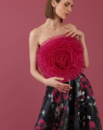 Alexander in Magenta