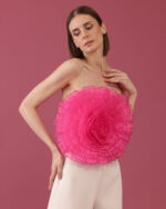 Alexander in Fuchsia