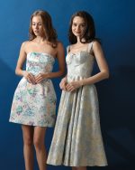 Yessenia in Blush - Image 2